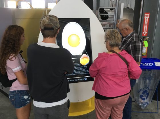 Family looking at Amazing Egg Exhibit